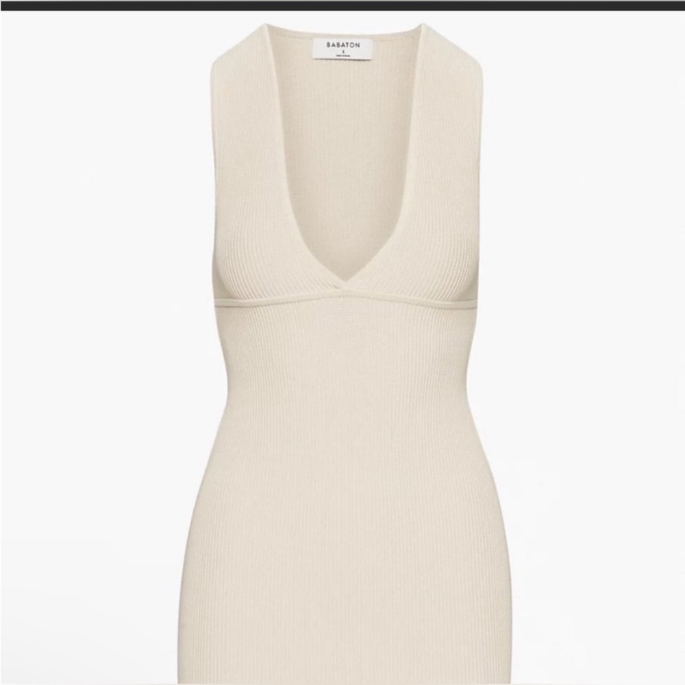Aritzia Babaton Deep V Dress